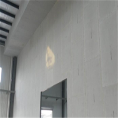 甘泉宁波ALC板|EPS加气板隔墙与混凝土整浇联接的实验研讨